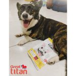 **ราคาส่งยกกล่อง** ล้อตใหม่ ขนมสุนัข Great titan snack ขนสวยสุขภาพดี โปรตีนย่อยง่าย บำรุงกระดูกและข้อต่อ - Image 6