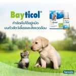 Bayticol 6% E.C. ไบติคอล 10 ซีซี จบปัญหาเห็บหมัด ทั้งตัวสัตว์และสิ่งแวดล้อม - Image 3