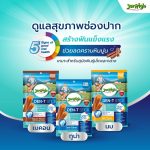 Jerhigh Den-t stick เจอร์ไฮ เดน-ที สติ๊กขนมขัดฟันสุนัข 60 กรัม - Image 2