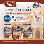 Kaniva Dog Food 1 kg. อาหารสุนัข สำหรับสุนัข 4 เดือนขึ้นไป - Image 5