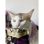 อาหารแมว Maria 1 ซอง (มีสูตรโรตไต) คัดสรรวัตถุดิบระดับ HUMAN GRADE ได้รสเนื้อชิ้นๆ เต็มๆ คำ แล้วยังอุดมไปด้วยคุณประโยชน์ - Image 4