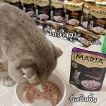 อาหารแมว Maria 1 ซอง (มีสูตรโรตไต) คัดสรรวัตถุดิบระดับ HUMAN GRADE ได้รสเนื้อชิ้นๆ เต็มๆ คำ แล้วยังอุดมไปด้วยคุณประโยชน์ - Image 8