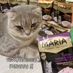 อาหารแมว Maria 12 ซอง (มีสูตรโรตไต) คัดสรรวัตถุดิบระดับ HUMAN GRADE ได้รสเนื้อชิ้นๆ เต็มๆ คำ - Image 8