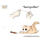 Fussy Boss ฟัสซี่บอส ขนมไก่นิ่มรูปจิ้งจก ทานได้ทั้งแมวและสุนัข ไก่รูปจิ้งจก ขนมแมว ขนมสุนัข - Image 4