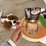 อาหารสุนัข Maria 1 ซอง (มีสูตรแพ้ไก่) คัดสรรวัตถุดิบระดับ HUMAN GRADE ได้รสเนื้อชิ้นเต็มคำ แล้วยังอุดมไปด้วยคุณประโยชน์ - Image 8