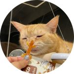 Fussy Boss ฟัสซี่บอส ขนมไก่นิ่มรูปจิ้งจก ทานได้ทั้งแมวและสุนัข ไก่รูปจิ้งจก ขนมแมว ขนมสุนัข - Image 2