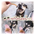ขนมสุนัข ขนมฝึกสุนัข - Image 3