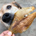 ปลานิลอบกรอบ 200 กรัม สุนัขแพ้ไก่ แพ้ไก่ ขนมสุนัข ขนมแมว หอมมากกกก - Image 2