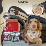 อาหารสุนัข Maria ยกกล่อง 12 ซอง (มีสูตรแพ้ไก่) คัดสรรวัตถุดิบระดับ HUMAN GRADE ได้รสเนื้อชิ้นๆ เต็มคำ - Image 9