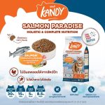 อาหารแมว Kandy Cat Food น้ำหนัก 1.5 kg และตัวอย่างสินค้า 30 กรัม ไม่เติมเกลือและน้ำตาล อาหารแมวแคนดี้ - Image 6