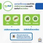 Bayticol 6% E.C. ไบติคอล 10 ซีซี จบปัญหาเห็บหมัด ทั้งตัวสัตว์และสิ่งแวดล้อม - Image 8