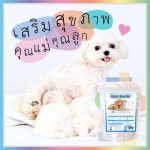 ชงได้ในน้ำเย็น🧡 นมแพะผง Dear Buddy 150 กรัม นมแพะผงสำหรับสัตว์เลี้ยง นมแพะสำหรับสุนัข - Image 3