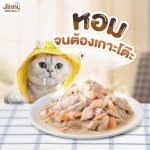 Jinny จินนี่ อาหารเปียกแมวแบบซอง ไม่เติมเกลือ ขนาด 70g จำนวน 12 ซอง (เลือกรสชาติด้านใน) - Image 5