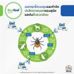 Bayticol 6% E.C. ไบติคอล 10 ซีซี จบปัญหาเห็บหมัด ทั้งตัวสัตว์และสิ่งแวดล้อม - Image 7