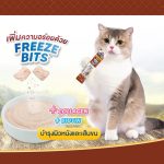 แมวเลีย 1 ซอง ขนมแมวเลีย Kaniva Creamy Treat เพิ่มความอร่อยด้วย Freeze Bits - Image 2