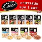 [แบ่งขาย] Cesar Craft ซีซาร์ อาหารสุนัข แบบซอง 60-70 กรัม อาหารเปียกสำหรับสุนัข 1 ซอง