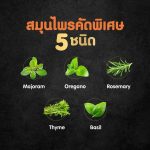 [แบ่งขาย] Cesar Craft ซีซาร์ อาหารสุนัข แบบซอง 60-70 กรัม อาหารเปียกสำหรับสุนัข 1 ซอง - Image 4