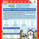 Bingo Star Dental care  ขนมขัดฟัน น้ำหนัก 520 กรัม แพ็กสุดคุ้ม 14 วัน แทะได้ทุกวันไม่เบื่อ! ขนมขัดฟันสุนัข ขนมสุนัข - Image 4