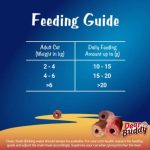 [แบ่งซอง] Felix Play Tubes ขนมแมว เฟลิกซ์ เพลย์ทูป 50g ขนมแมวกรอบ ของว่างแมว รสไก่ / รสทูน่า - Image 4