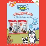 Bingo Star Dental care  ขนมขัดฟัน น้ำหนัก 520 กรัม แพ็กสุดคุ้ม 14 วัน แทะได้ทุกวันไม่เบื่อ! ขนมขัดฟันสุนัข ขนมสุนัข - Image 3