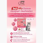 [ยกกล่อง] เพียวริน่า วัน อาหารเปียกแมว Purina ONE ลูกแมว แมวโต แมวเลี้ยงในบ้าน ยูรินารี่ แคร์ 70 กรัม x 12 ซอง - Image 4