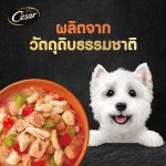 [แบ่งขาย] Cesar Craft ซีซาร์ อาหารสุนัข แบบซอง 60-70 กรัม อาหารเปียกสำหรับสุนัข 1 ซอง - Image 2
