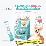 Sun Wonder 1 และ 6 ซอง ซันวันเดอร์ ปรับสมดุลสำไส้ เสริมภูมิคุ้มกัน บำรุงขน ผิวหนัง รวมอาหารเสริมบำรุงสุขภาพ - Image 2