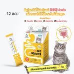 Sun Wonder 1 และ 6 ซอง ซันวันเดอร์ ปรับสมดุลสำไส้ เสริมภูมิคุ้มกัน บำรุงขน ผิวหนัง รวมอาหารเสริมบำรุงสุขภาพ - Image 3