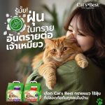 ทรายแมว Cat's Best Original 10 L ทรายแมว 10L ส่งฟรี ทรายไม้สน จับตัวเร็ว ทิ้งชักโครกได้ - Image 6