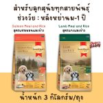 อาหารลูกสุนัข Smartheart Gold น้ำหนัก 3 กิโลกรัม สำหรับลูกสุนัขหลังหย่านม - 1 ปี อาหารสำหรับลูกสุนัข อาหารลูกสุนัข - Image 5