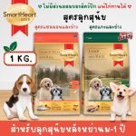 อาหารลูกสุนัข Smartheart Gold น้ำหนัก 1 กิโลกรัม สำหรับลูกสุนัขหลังหย่านม - 1 ปี อาหารสำหรับลูกสุนัข อาหารลูกสุนัข