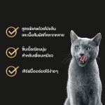 Sheba (ชีบา) อาหารเปียกแมว เกรดพรีเมียม สำหรับลูกแมวและแมวโต ขนาด 70 กรัม (x12 ซอง) - Image 3