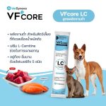 วิตามินรูปแบบเลีย VFcore สำหรับสุนัขและแมว หมาเลีย แมวเลีย สุนัขเลีย วิตามินสำหรับสัตว์เลี้ยง - Image 3
