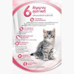 [ยกกล่อง] เพียวริน่า วัน อาหารเปียกแมว Purina ONE ลูกแมว แมวโต แมวเลี้ยงในบ้าน ยูรินารี่ แคร์ 70 กรัม x 12 ซอง - Image 2