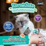 Regalos Party Mix ขนมแมวเลีย แบบถุง 15g x5 ซอง ผสมวิตามิน โอเมก้า3 ทอรีน คละรสชาติ - Image 4