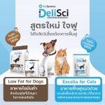 1 ซอง DeliSci Excella Cat อาหารฟื้นฟูสำหรับแมวป่วย และพักฟื้นหลังการผ่าตัด - Image 4