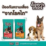 อาหารสุนัข Dogger 1 กิโลกรัม ด็อกเกอร์ โปรตีนมากกว่า 18% ขับถ่ายเป็นก้อน ลดกลิ่นอึและกลิ่นฉี่ ควบคุมโซเดียม - Image 4
