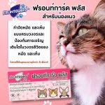 Frontguard Plus สำหรับแมว ผลิตภัณฑ์กำจัดหมัดและไข่หมัด ไม่เป็นอันตรายต่อสัตว์เลี้ยง - Image 3