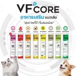 วิตามินรูปแบบเลีย VFcore สำหรับสุนัขและแมว หมาเลีย แมวเลีย สุนัขเลีย วิตามินสำหรับสัตว์เลี้ยง - Image 2