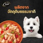 Cesar Craft ซีซาร์ อาหารสุนัข แบบซอง 60-70 กรัม อาหารเปียกสำหรับสุนัข ยกกล่อง 16 ซอง - Image 2