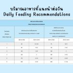 1 ซอง DeliSci Excella Cat อาหารฟื้นฟูสำหรับแมวป่วย และพักฟื้นหลังการผ่าตัด - Image 7