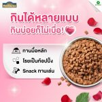 Perfecta Soft & Meaty อาหารสุนัขเม็ดนุ่ม สำหรับสุนัขกินยาก เบื่ออาหาร (เพอร์เฟคต้า ซอฟท์แอนด์มีทตี้) - Image 9