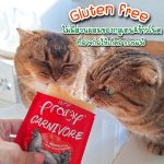 1 ซอง Pramy Carnivore สำหรับน้องแมว 2 เดือนขึ้นไป พรามี่ คาร์นิวอร์ อาหารแมวเปียกแบบ High Protein โปรตีนสูง 11% - Image 5