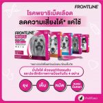 FRONTLINE TRI-ACT สำหรับสุนัข หยดตรงจุด หยุด ยุง เห็บ หมัด ฟรอนท์ไลน์ ไตร-แอ็ค - Image 7