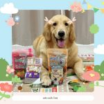 อาหารสุนัขปรุงสุกพร้อมทาน Moochie Home Cooked อาหารเปียก เหมาะตั้งแต่สุนัข 6 เดือนขึ้นไป - Image 2