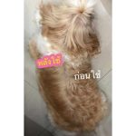 ใช้ดีบอกต่อค่า Silky hair coat 85 ml. ผลิตภัณฑ์ดูแลขนสำหรับสุนัขและแมว กลิ่นหอม ลดขนพันกัน - Image 4