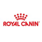 อาหารแมว Royal Canin 4 KG. สูตร Kitten สำหรับลูกแมว 4-12 เดือน - Image 3
