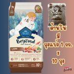 [กระสอบ] อาหารสุนัขบัซซ์  Buzz Beyond 10 KG. Gluten-free Premium Dog Food - Image 5