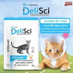1 ซอง DeliSci Excella Cat อาหารฟื้นฟูสำหรับแมวป่วย และพักฟื้นหลังการผ่าตัด