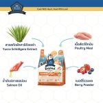 อาหารสุนัขบัซซ์  Buzz Beyond 1.2 KG. และ 1 KG. Gluten-free Premium Dog Food ถุงสวยและถุงแบ่ง - Image 5